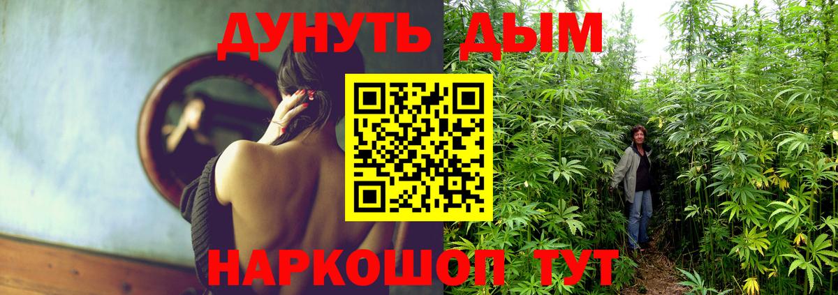 Канабис гибрид  Каннабис марихуана  Рассказово  Вход с VPN  Бошки Шишки гибрид 